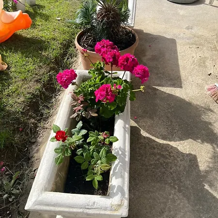 Ξενοδοχείο με διαμερίσματα Hoxha 80