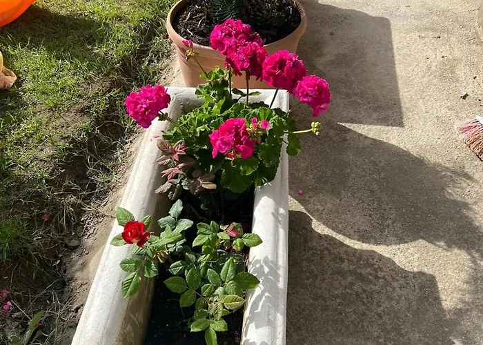 Appart hôtel Hoxha 80